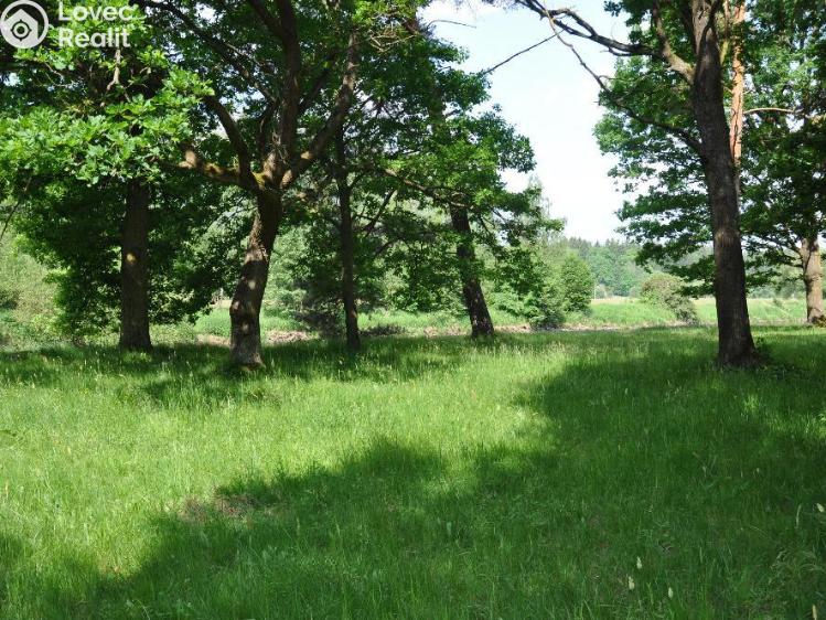 Prodej chaty Planá nad Lužnicí, Na Černé č. 24