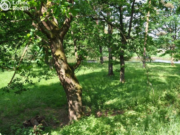 Prodej chaty Planá nad Lužnicí, Na Černé č. 36