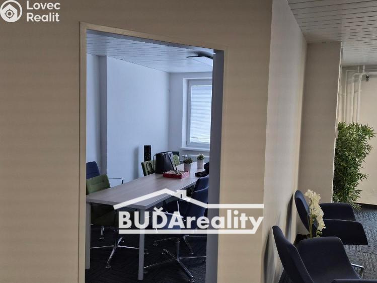 Pronájem výrobní haly Zlín, Rybníky IV 326 č. 8