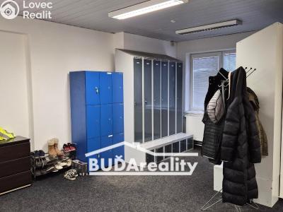 Pronájem výrobní haly Zlín, Rybníky IV 326 č. 4