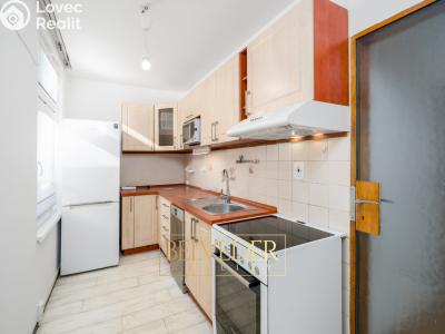 Pronájem rodinného domu Teplice, Fučíkova stezka 2843 č. 5