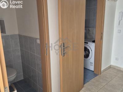 Pronájem bytu 1+KK Praha, Kudrnova č. 5