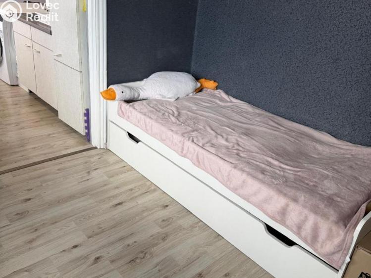 Prodej bytu 3+1 Most, M. G. Dobnera č. 10