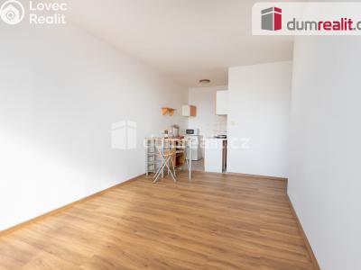 Pronájem bytu 2+KK Nové Strašecí, Okružní č. 1