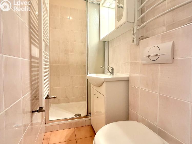 Sale family house Tachov, Hradební 79 č. 52