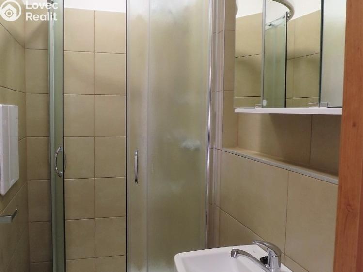 Pronájem bytu 1+1 Otrokovice, Jiráskova č. 2