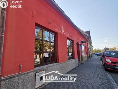 Rent commercial space Napajedla č. 1