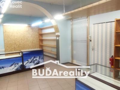 Rent commercial space Napajedla č. 2