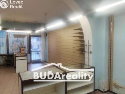 Rent commercial space Napajedla č. 3