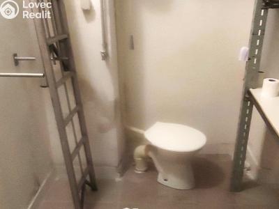 Rent commercial space Napajedla č. 4