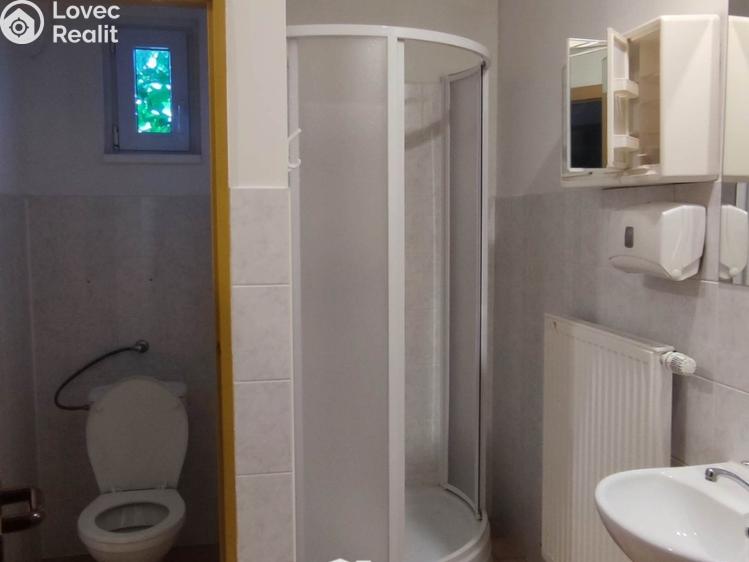 Pronájem skladového prostoru Bílovice č. 9