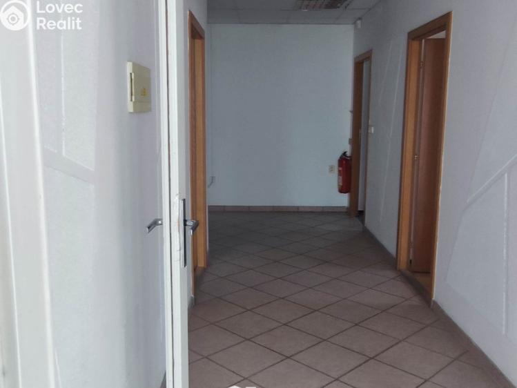 Pronájem skladového prostoru Bílovice č. 13