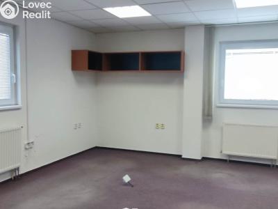 Pronájem skladového prostoru Bílovice č. 6