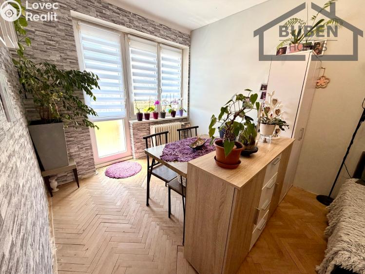 Prodej bytu 3+1 Tachov, Školní 1364 č. 4