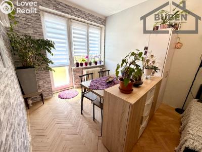 Prodej bytu 3+1 Tachov, Školní 1364 č. 4