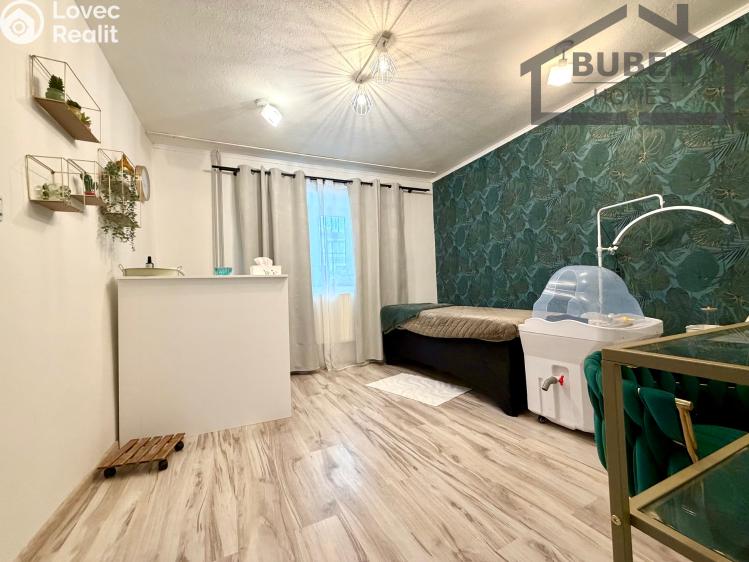 Оренда торгового приміщення Tachov, Husitská č. 13