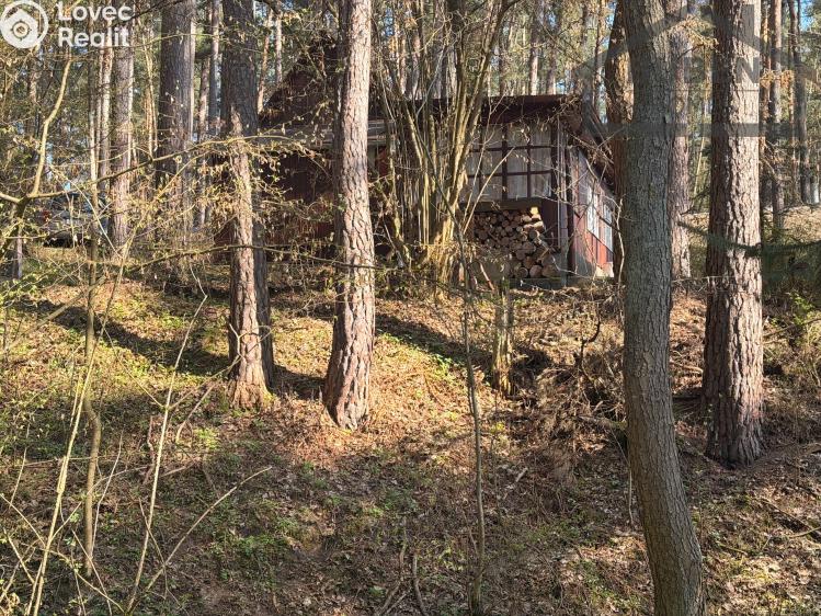 Prodej chaty Tachov č. 65