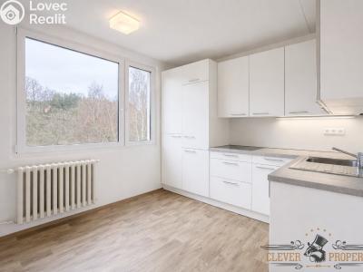 Pronájem bytu 1+1 Trutnov, Náchodská č. 2