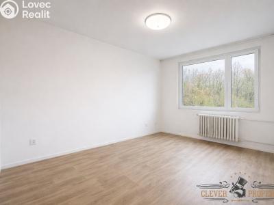 Pronájem bytu 1+1 Trutnov, Náchodská č. 3