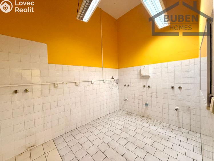 Prodej výrobní haly Staré Sedliště č. 66