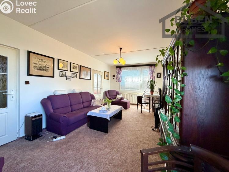 Pronájem bytu 4+1 Tachov, Žižkova 1717 č. 16