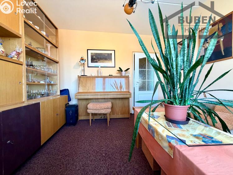 Pronájem bytu 4+1 Tachov, Žižkova 1717 č. 18