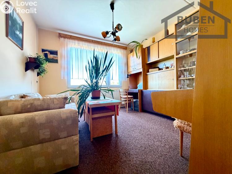 Pronájem bytu 4+1 Tachov, Žižkova 1717 č. 19