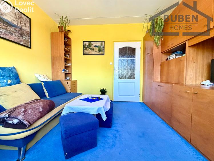 Pronájem bytu 4+1 Tachov, Žižkova 1717 č. 20