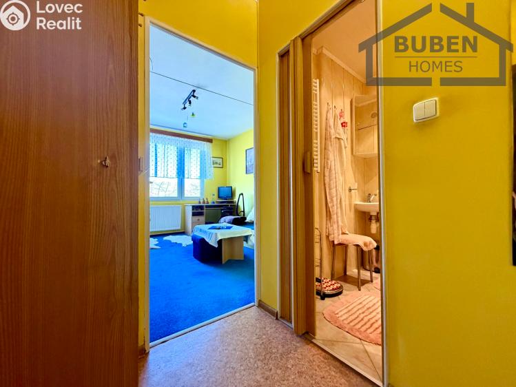 Pronájem bytu 4+1 Tachov, Žižkova 1717 č. 24