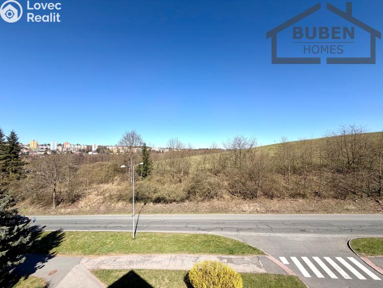 Pronájem bytu 4+1 Tachov, Žižkova 1717 č. 33