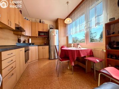 Pronájem bytu 4+1 Tachov, Žižkova 1717 č. 1