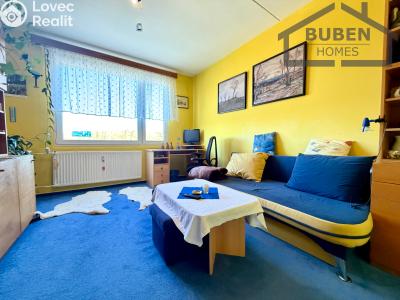 Pronájem bytu 4+1 Tachov, Žižkova 1717 č. 4