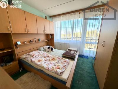 Pronájem bytu 4+1 Tachov, Žižkova 1717 č. 5