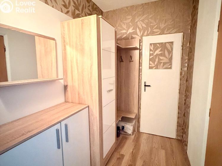 Prodej bytu 2+1 Lesná č. 33