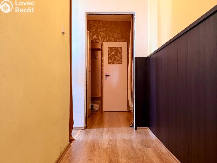 Prodej bytu 2+1 Lesná č. 38