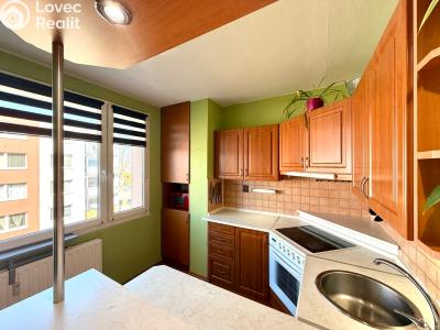 Prodej bytu 4+1 Bor, Borská 548 č. 1