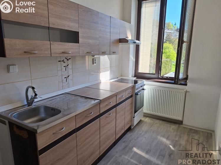 Pronájem bytu 1+1 Děčín, Horská č. 2