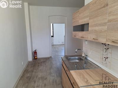 Rent apartment 1+1 Děčín, Horská č. 3