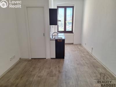 Rent apartment 1+1 Děčín, Horská č. 4