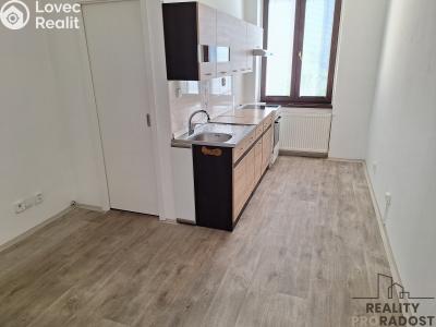 Rent apartment 1+1 Děčín, Horská č. 5