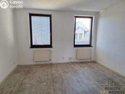 Rent apartment 1+1 Děčín, Horská č. 6