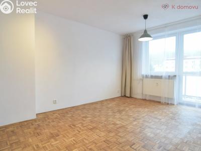 Pronájem bytu 2+1 Blansko, Seifertova č. 3