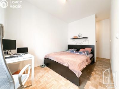 Pronájem bytu 1+1 Praha, Biskupcova č. 3