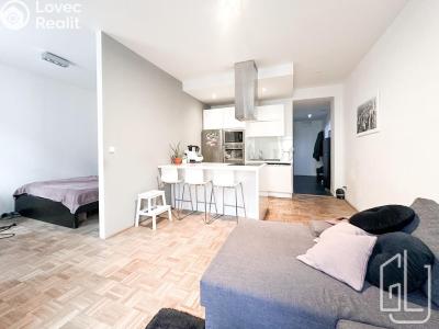 Pronájem bytu 1+1 Praha, Biskupcova č. 4