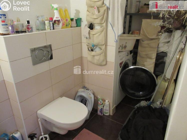 Pronájem bytu 1+1 Praha 6, Pod kaštany č. 7