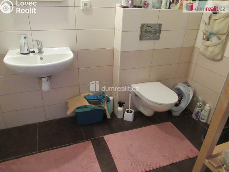 Pronájem bytu 1+1 Praha 6, Pod kaštany č. 9