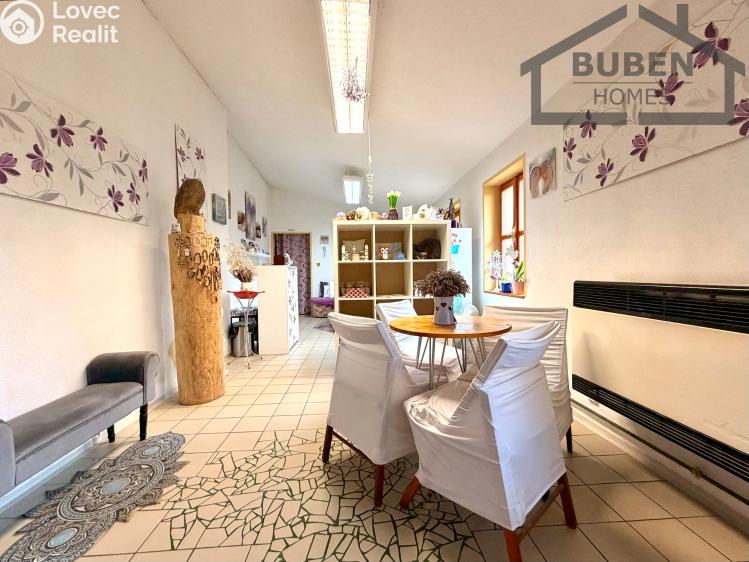 Prodej rodinného domu Tachov, Dolní Předměstí 144 č. 58