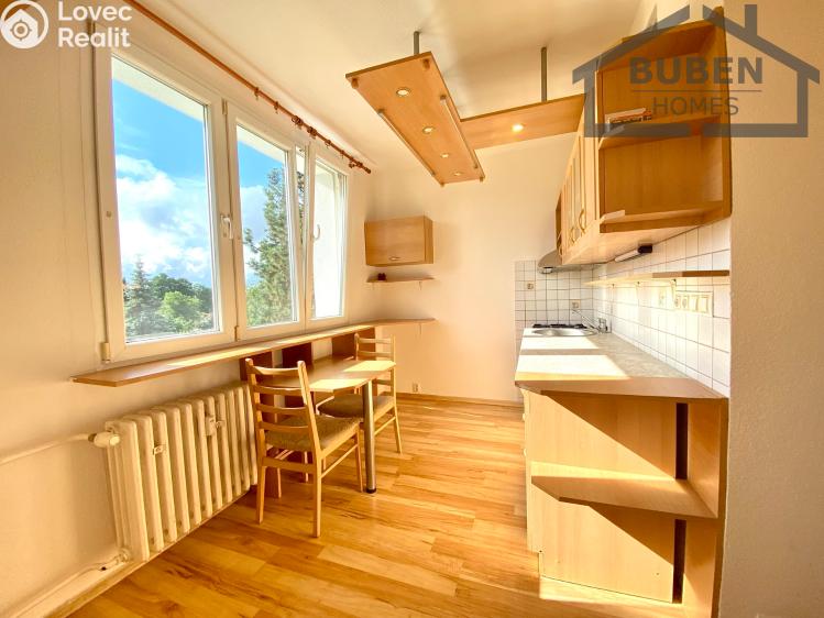 Pronájem bytu 1+1 Planá, Fučíkova 480 č. 8