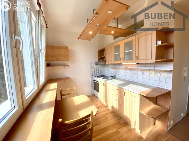 Pronájem bytu 1+1 Planá, Fučíkova 480 č. 9