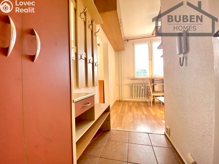 Pronájem bytu 1+1 Planá, Fučíkova 480 č. 11